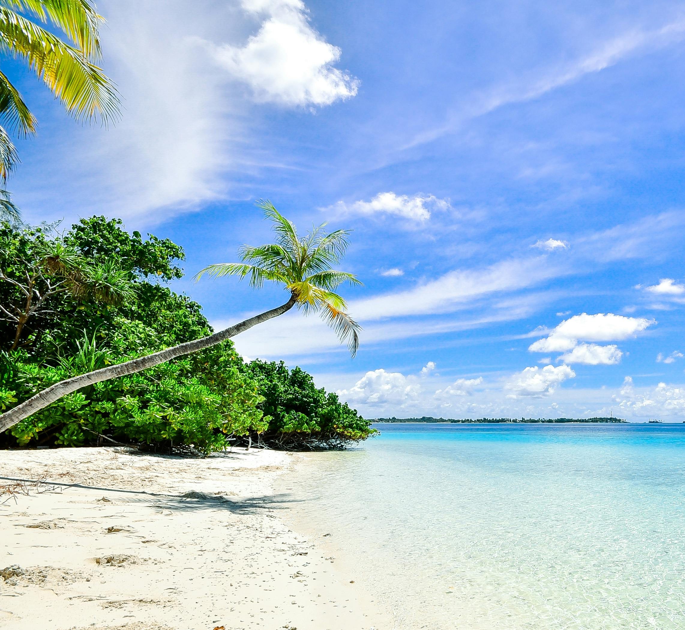 Zanzibar Stone Town & Beach Escape